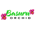 Basuru Orchid