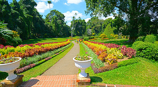 Peradeniya Botanical Garden